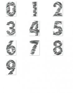 Tiger Zebra WildCat Patten Numbers SVG PNG Free Download